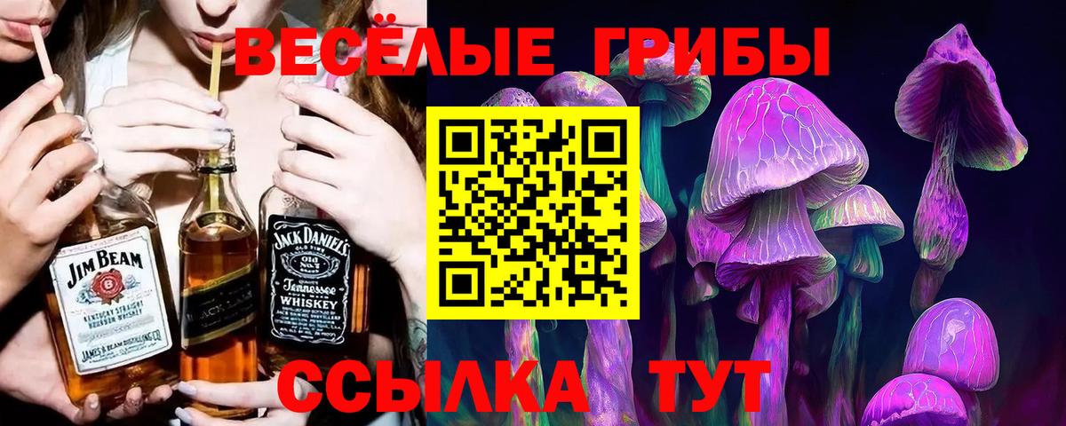 Тимашёвск  Галлюциногенные грибы MAGIC MUSHROOMS  Вход с VPN 